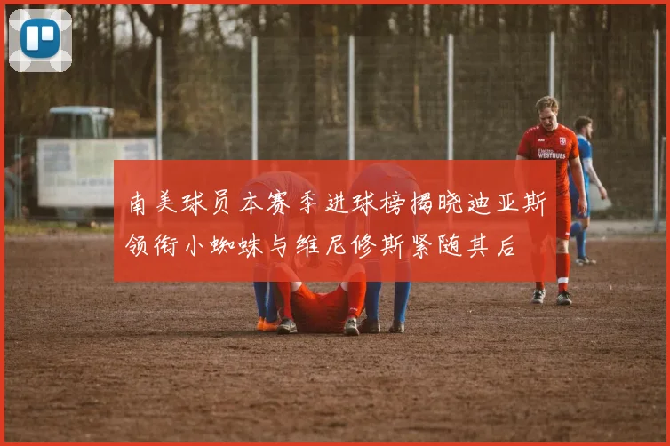 南美球员本赛季进球榜揭晓迪亚斯领衔小蜘蛛与维尼修斯紧随其后