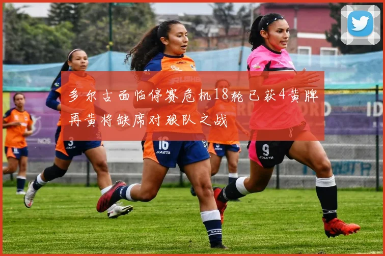 多尔古面临停赛危机18轮已获4黄牌再黄将缺席对狼队之战