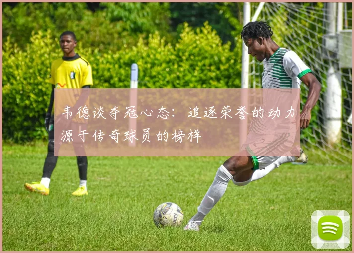 韦德谈夺冠心态：追逐荣誉的动力源于传奇球员的榜样