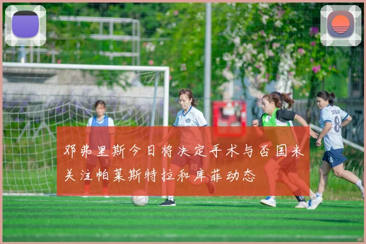 邓弗里斯今日将决定手术与否国米关注帕莱斯特拉和库菲动态